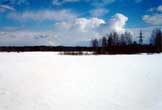 Snow-covered field outside of Fedoskino